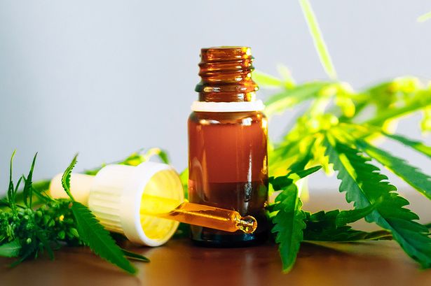 Tips to Buy CBD Oil for Alleviating Pain Problems