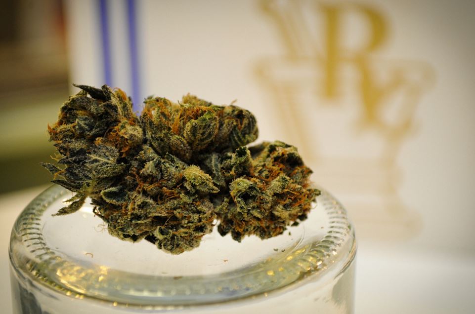 Insights into Premium Medical Cannabis at Tempe Dispensary